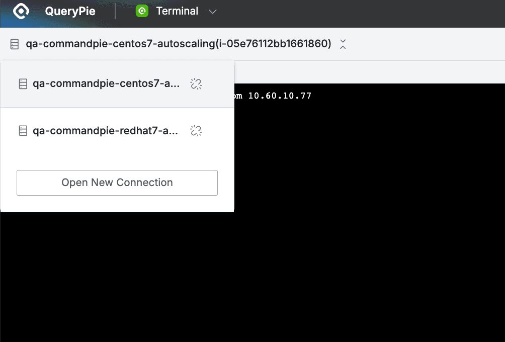 QueryPie Web > Servers > Terminal