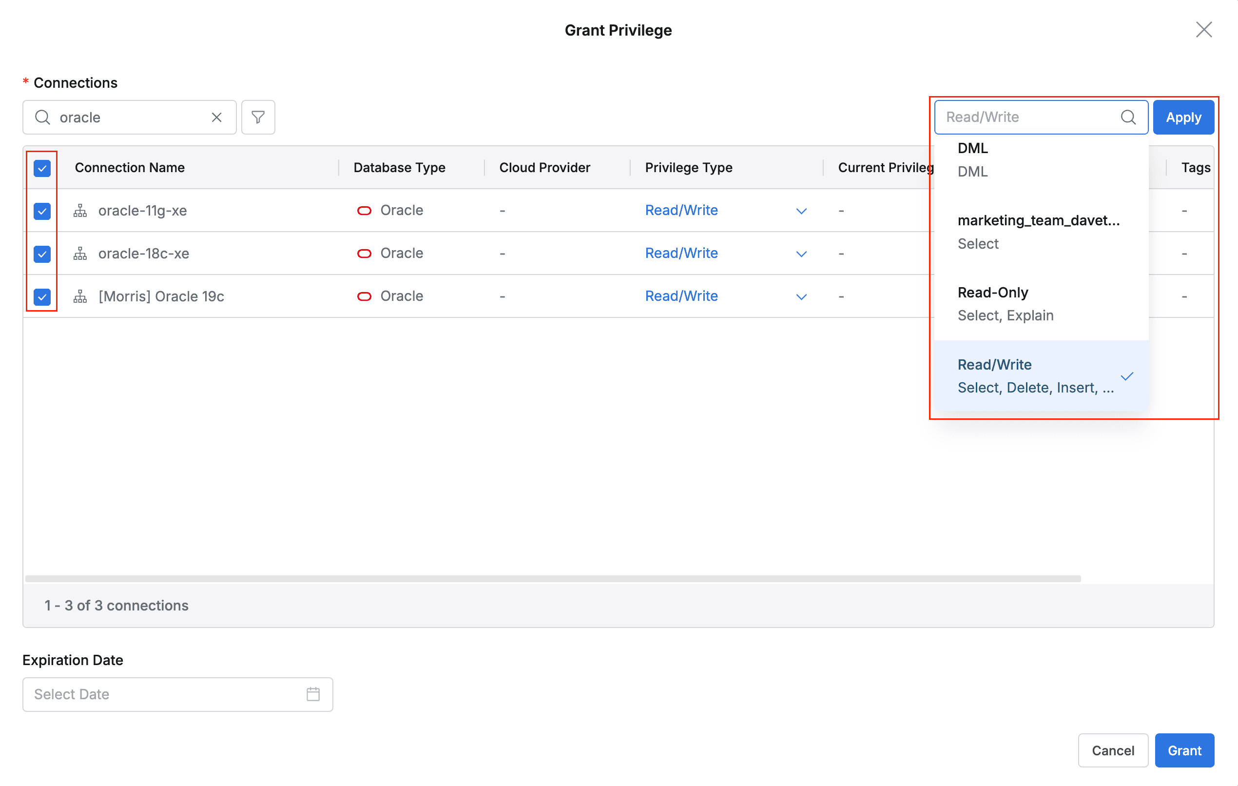 Select multiple target connections and apply privileges in bulk.