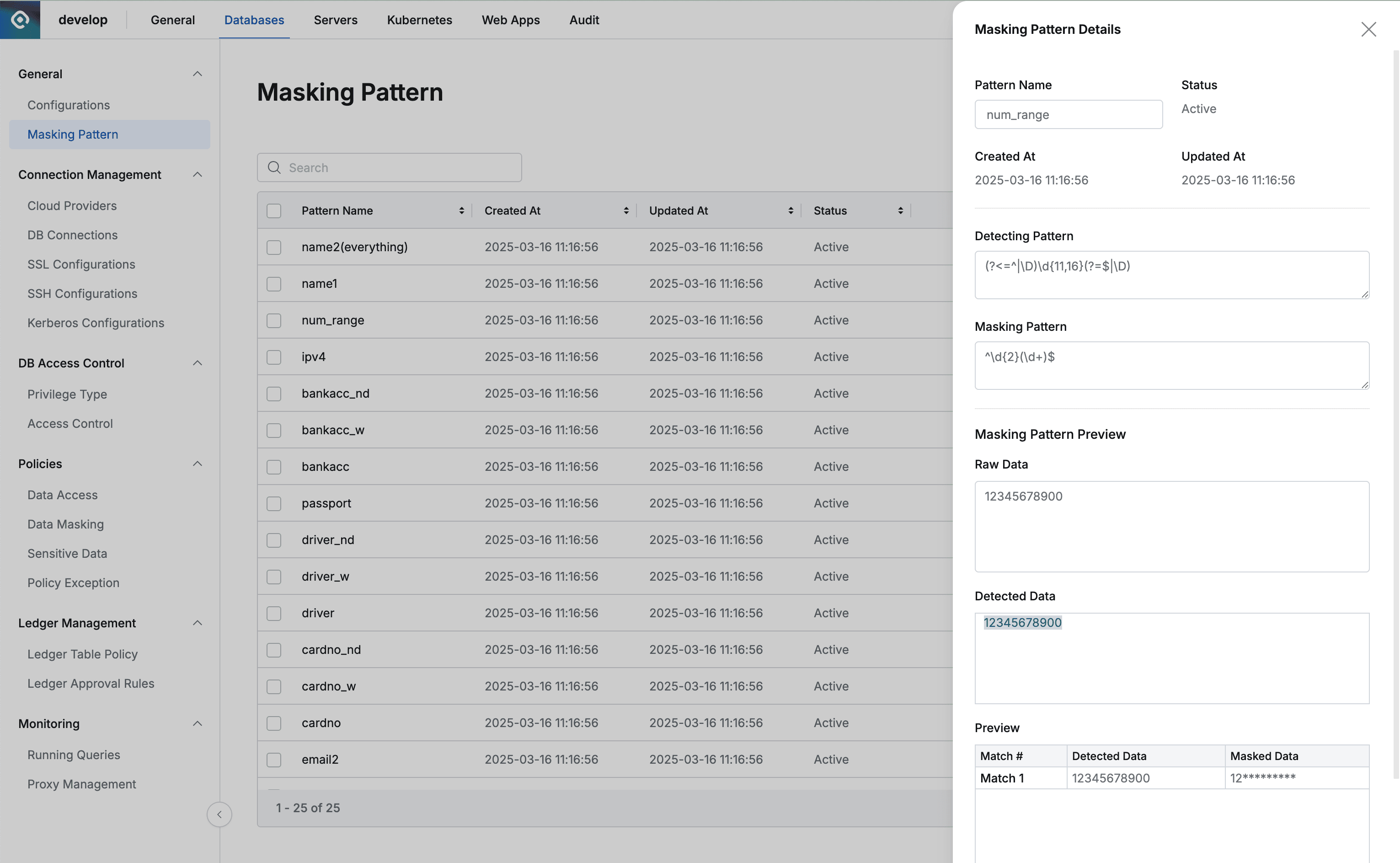 Administrator > Databases > General > Masking Pattern > Details