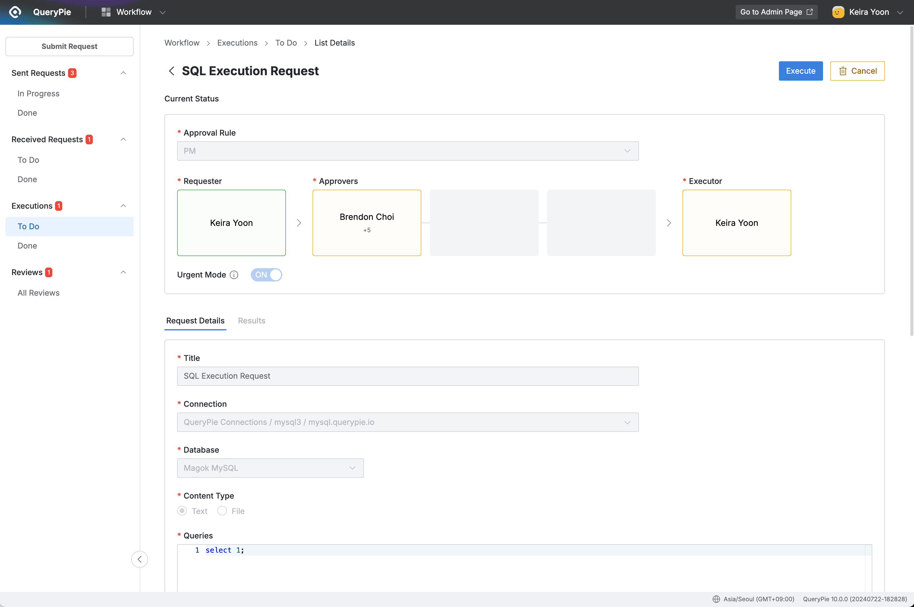 Workflow > Executions > To Do > List Details
