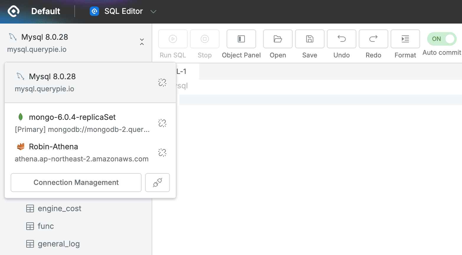 SQL Editor > Connection Panel