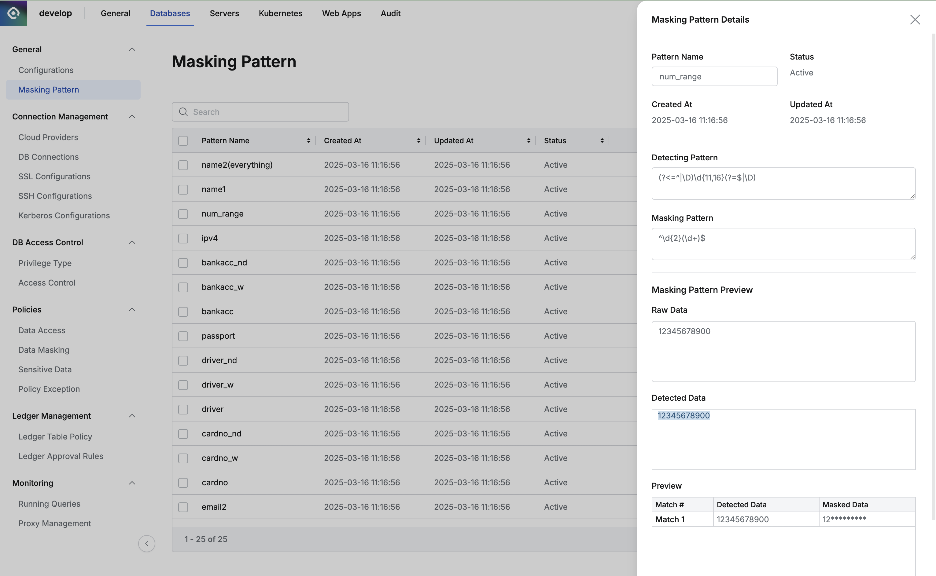 Administrator > Databases > General > Masking Pattern > Details