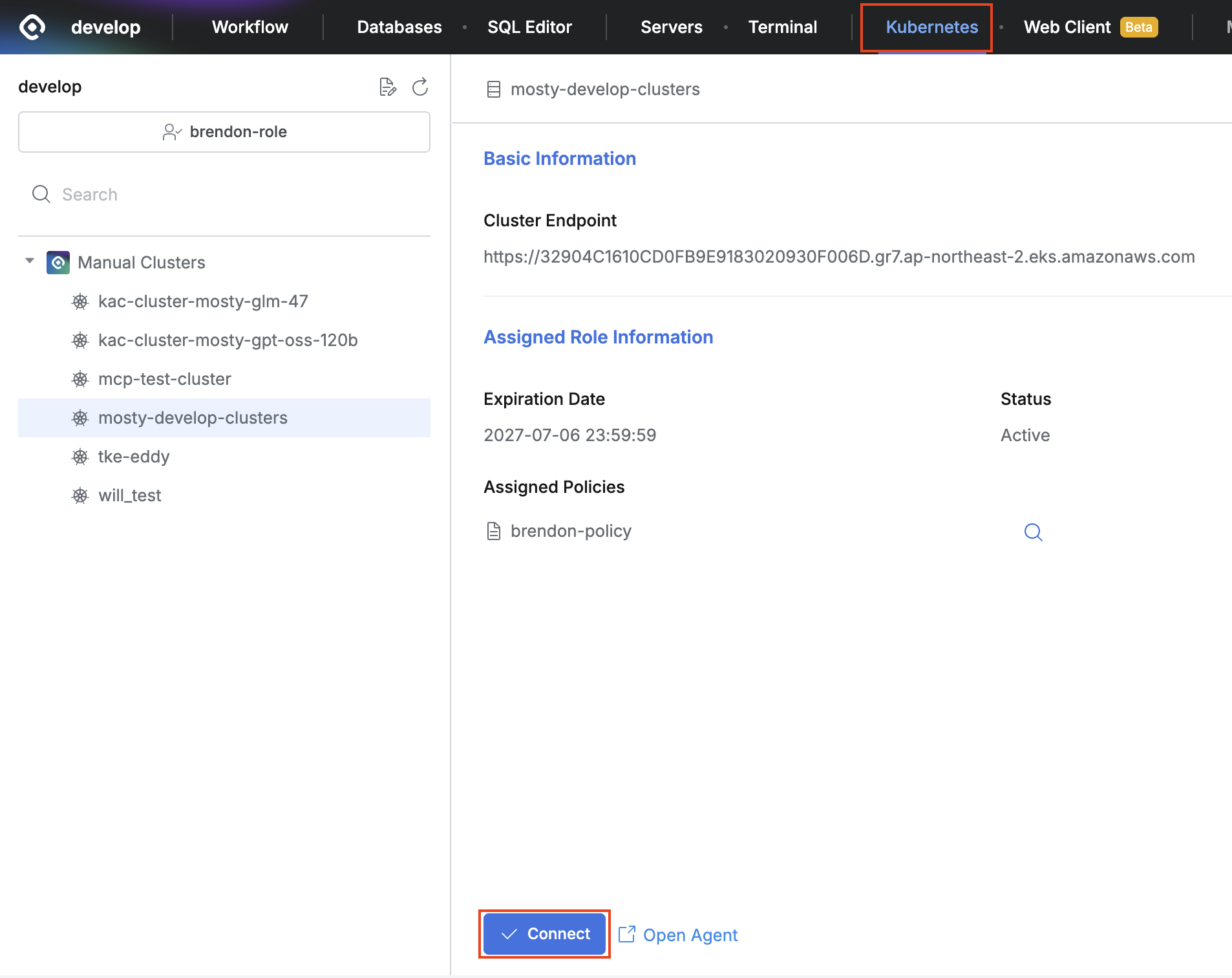 Move to the Web Client screen by selecting a specific cluster on the cluster detail screen and clicking the `Connect` button