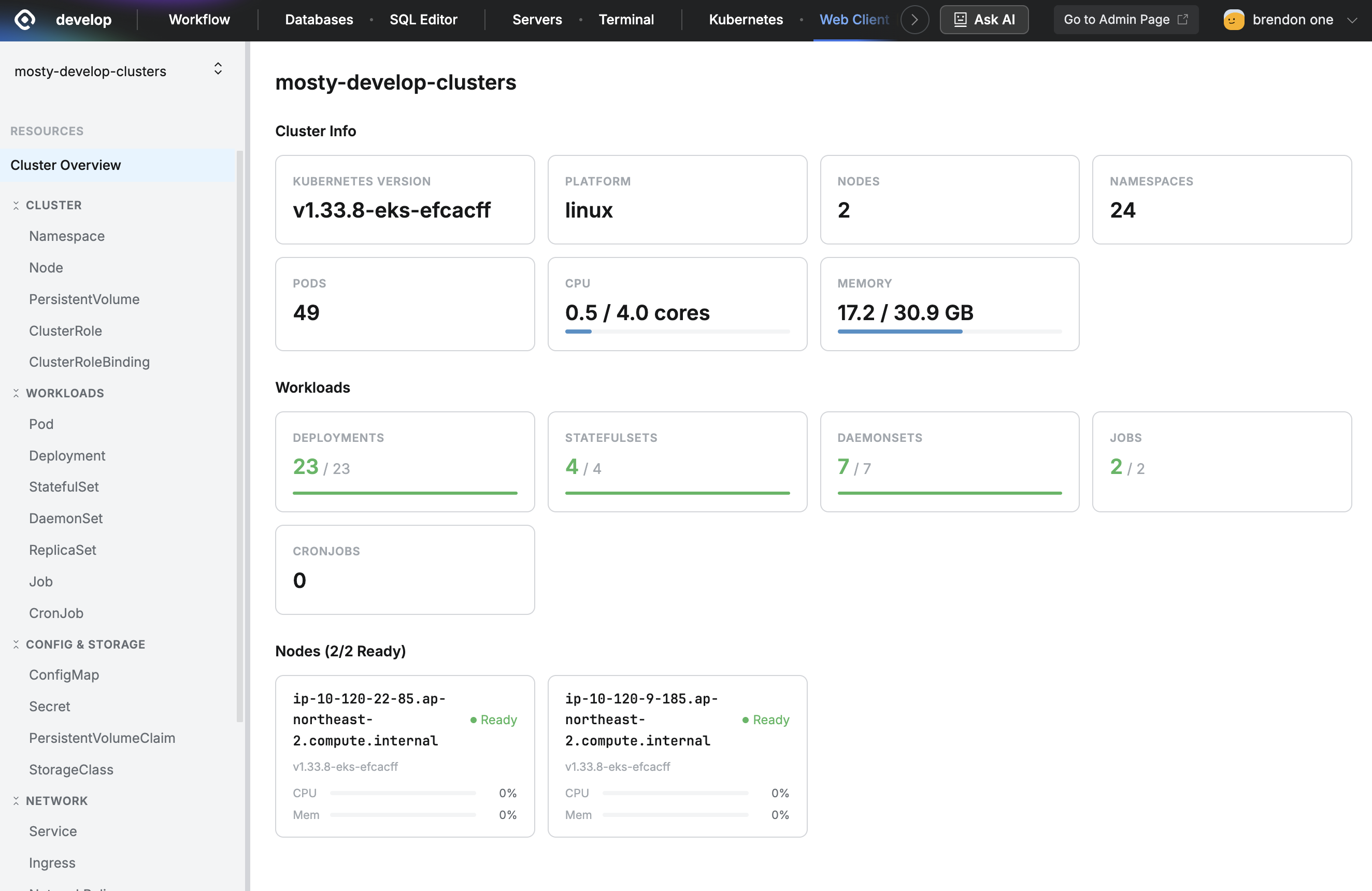 The Web Client `Cluster Overview` displayed after connecting to a Role and a specific cluster